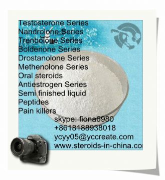 Testosterone Undecanoate 5949-44-0 Muscle Gaining Steroids Legit Steroid Source